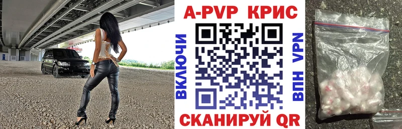 A PVP СК  Бузулук 