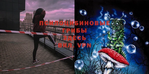 круглые Аркадак