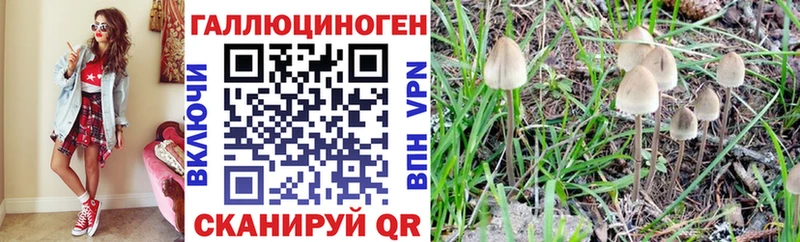 Псилоцибиновые грибы ЛСД  нарко площадка наркотические препараты  Бузулук 